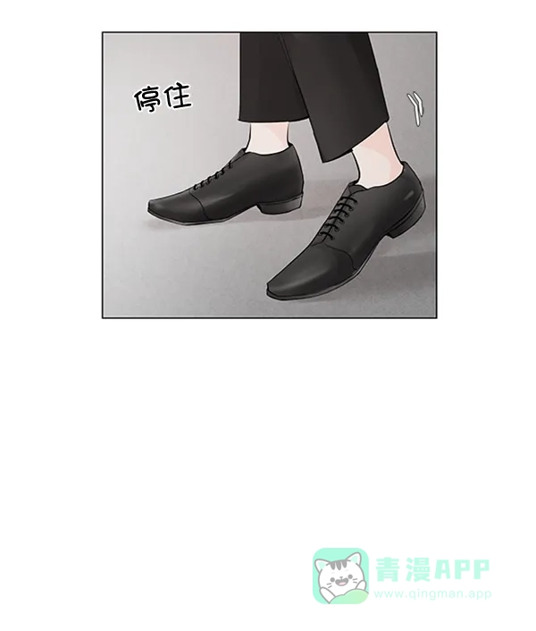 《所以和黑粉结婚了》第50话 第66页