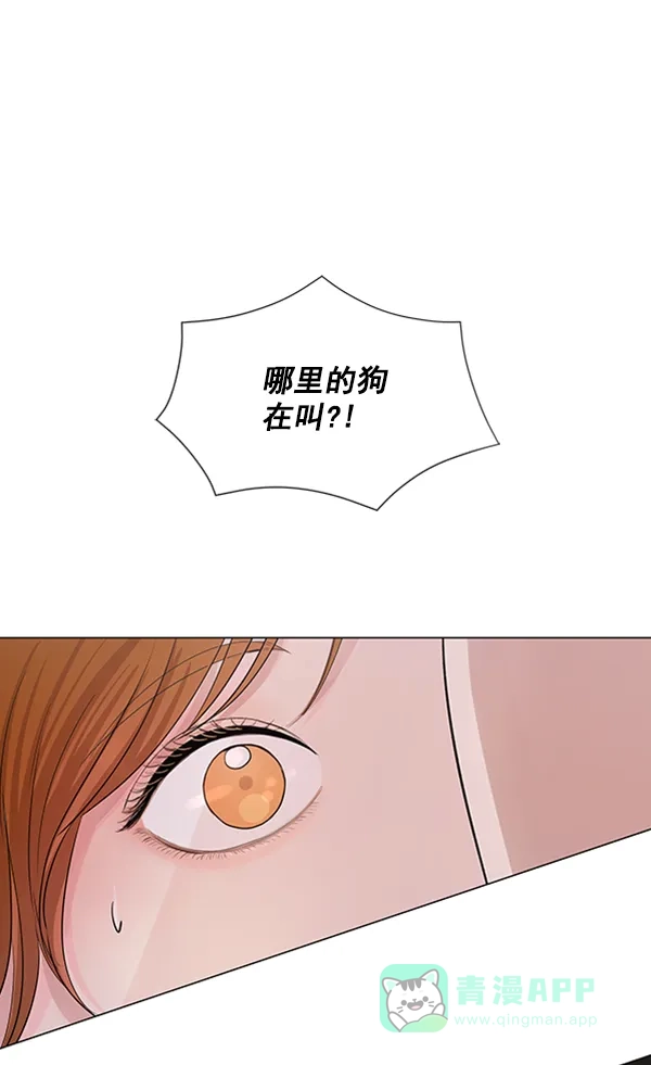 《所以和黑粉结婚了》第74话 第13页
