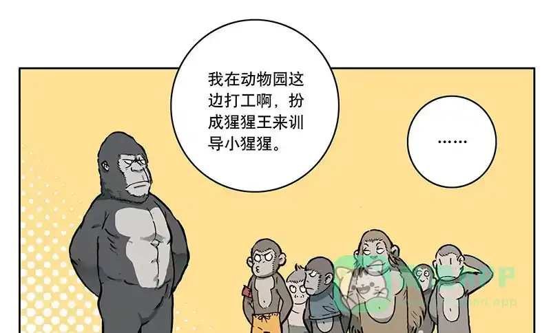 《宿舍里的动物园》08 动物园 第41页