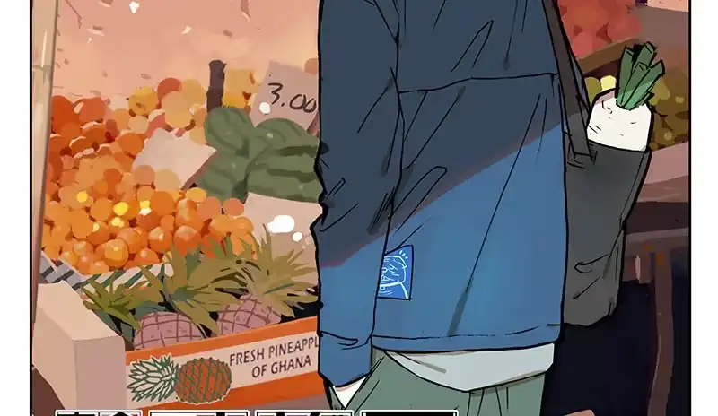 《宿舍里的动物园》15 消失的静物 第2页
