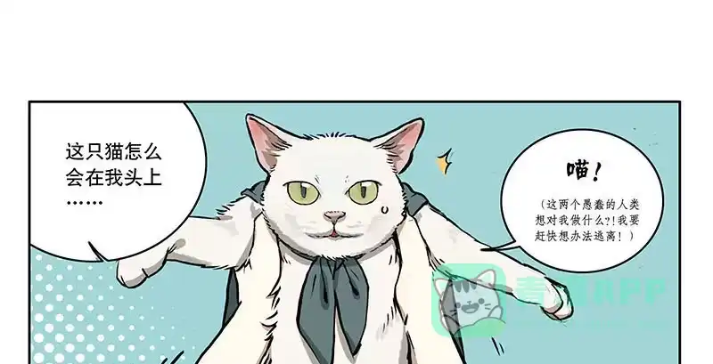 《宿舍里的动物园》22 猫奴 第1页