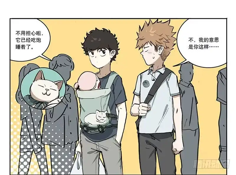 《宿舍里的动物园》22 猫奴 第9页