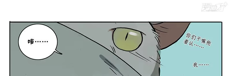 《宿舍里的动物园》22 猫奴 第23页
