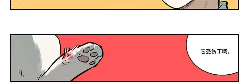 《宿舍里的动物园》22 猫奴 第4页