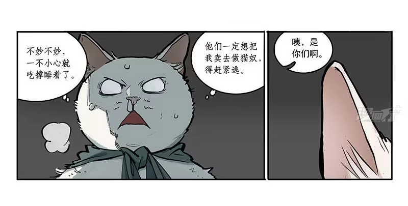 《宿舍里的动物园》22 猫奴 第17页