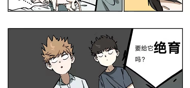 《宿舍里的动物园》23 猫咪绝育 第20页
