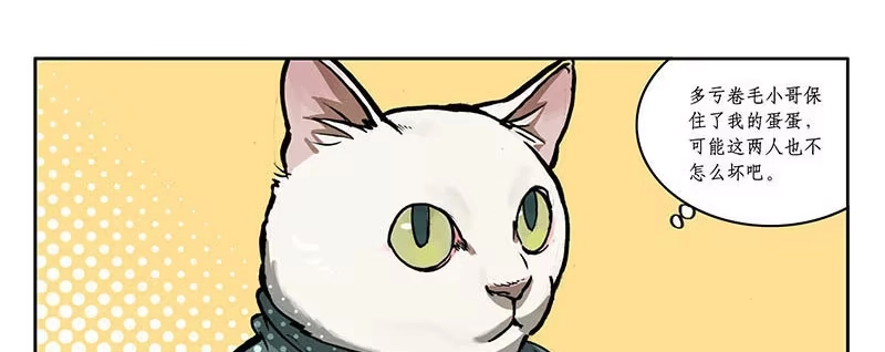 《宿舍里的动物园》23 猫咪绝育 第33页