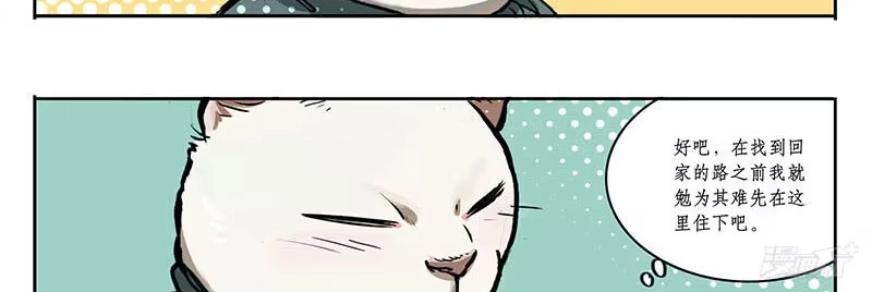 《宿舍里的动物园》23 猫咪绝育 第34页
