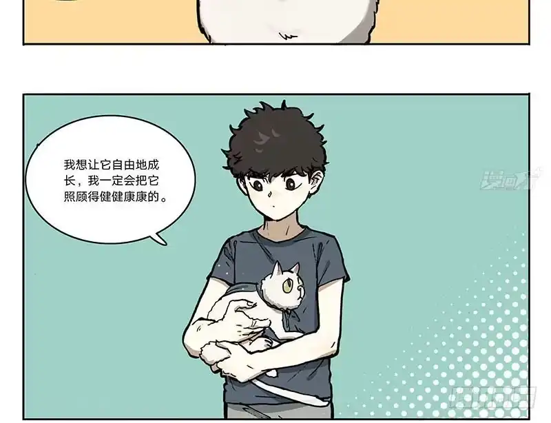 《宿舍里的动物园》23 猫咪绝育 第28页