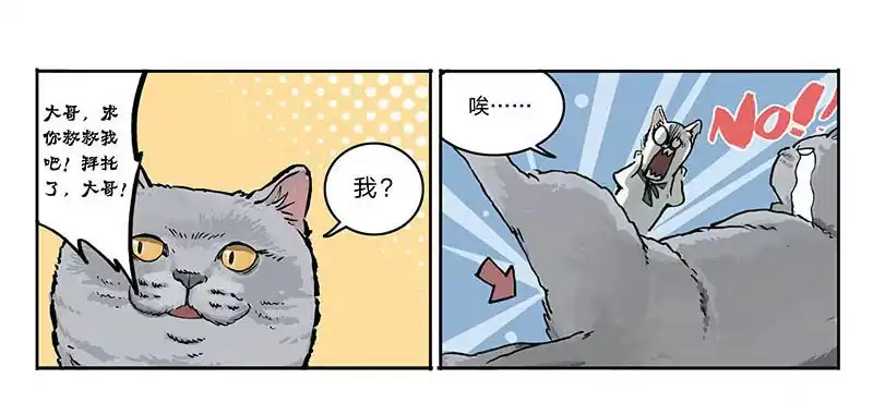 《宿舍里的动物园》23 猫咪绝育 第24页
