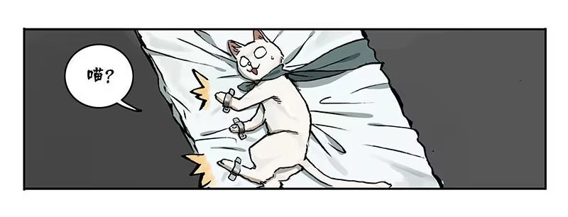 《宿舍里的动物园》23 猫咪绝育 第14页