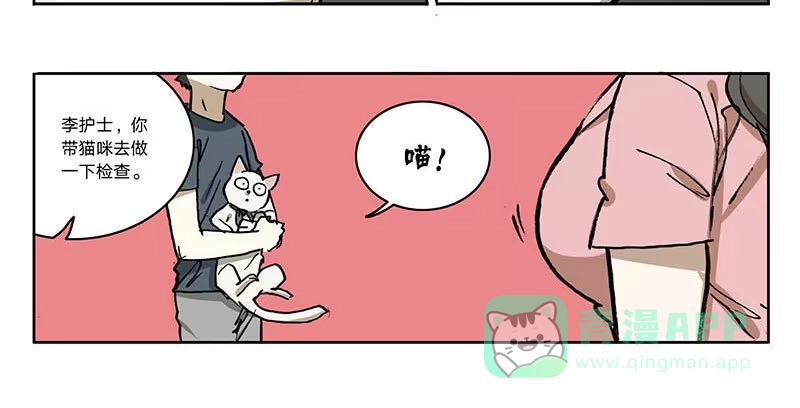 《宿舍里的动物园》23 猫咪绝育 第11页