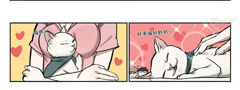 《宿舍里的动物园》23 猫咪绝育 第13页