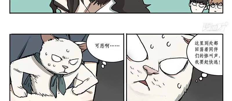《宿舍里的动物园》23 猫咪绝育 第10页