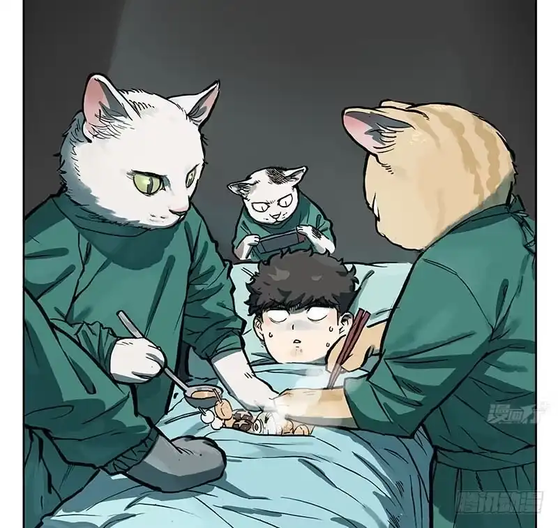 《宿舍里的动物园》23 猫咪绝育 第3页