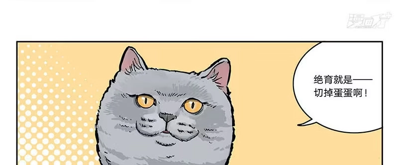《宿舍里的动物园》23 猫咪绝育 第22页