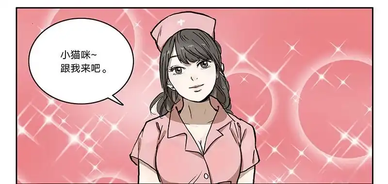 《宿舍里的动物园》23 猫咪绝育 第12页