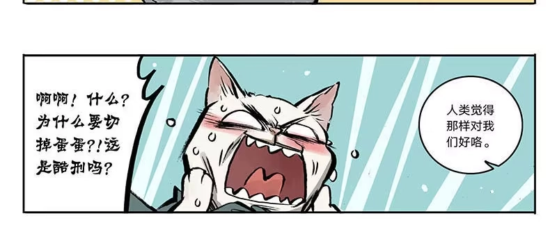 《宿舍里的动物园》23 猫咪绝育 第23页