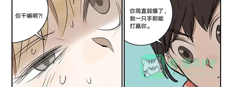 《宿舍里的动物园》26 面试 第16页