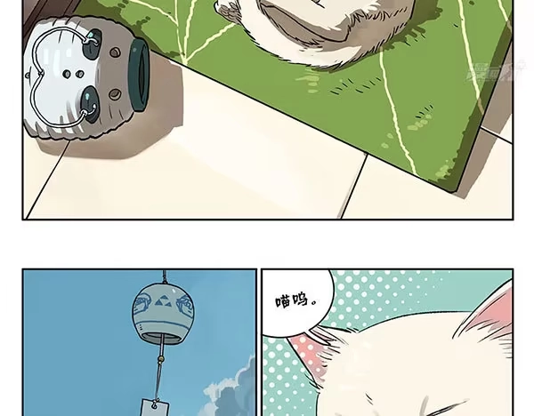 《宿舍里的动物园》32 猫猫宿舍大检查 第2页
