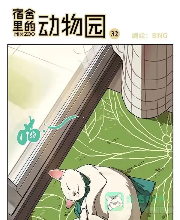 《宿舍里的动物园》32 猫猫宿舍大检查 第1页