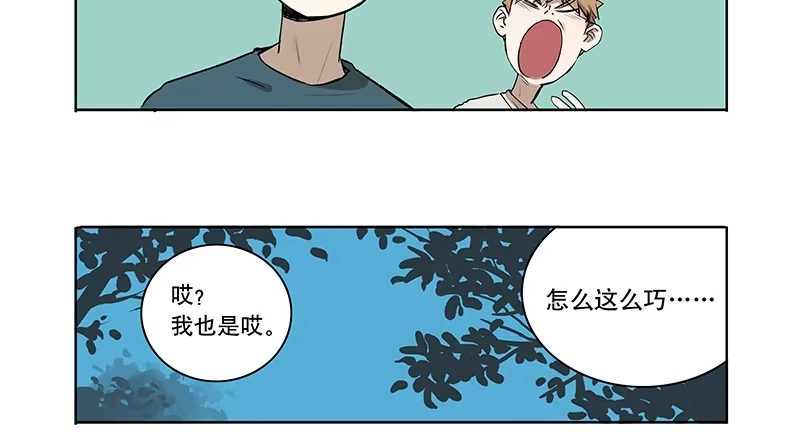 《宿舍里的动物园》36 我要和小姐姐睡 第40页