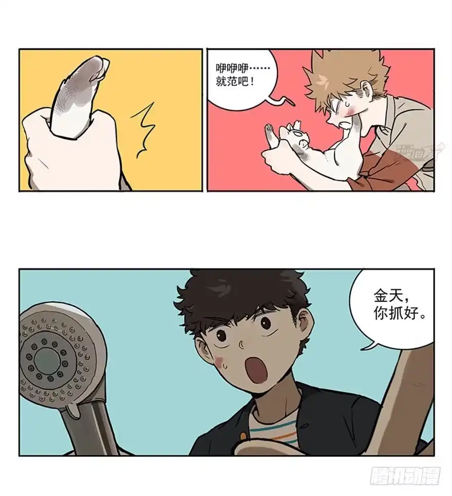 《宿舍里的动物园》49-洗澡 第7页