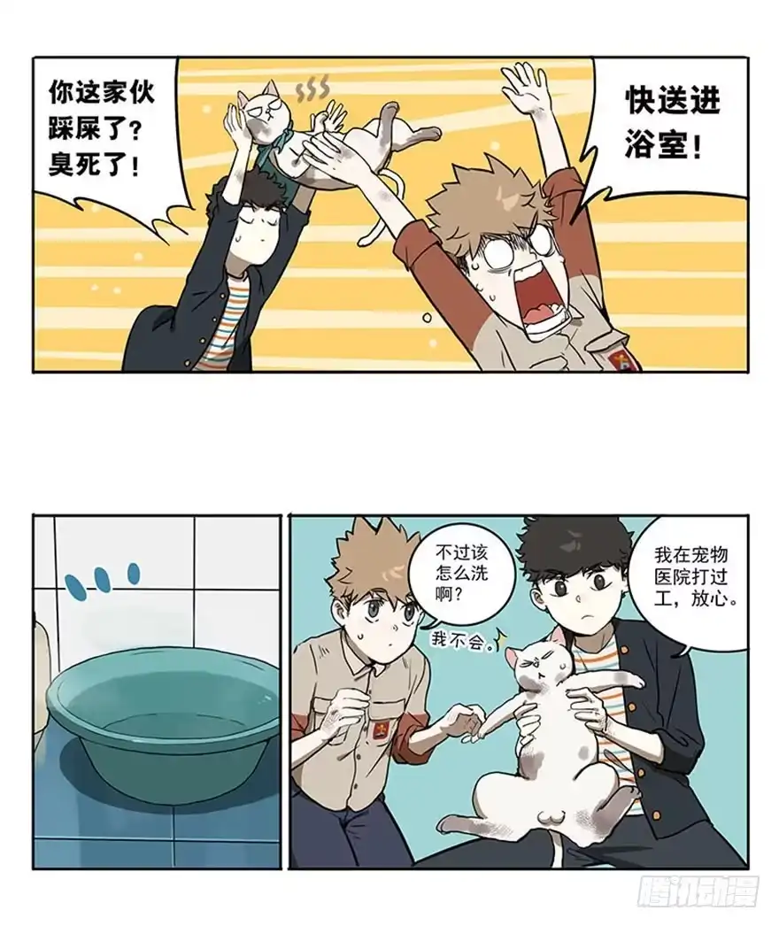 《宿舍里的动物园》49-洗澡 第4页
