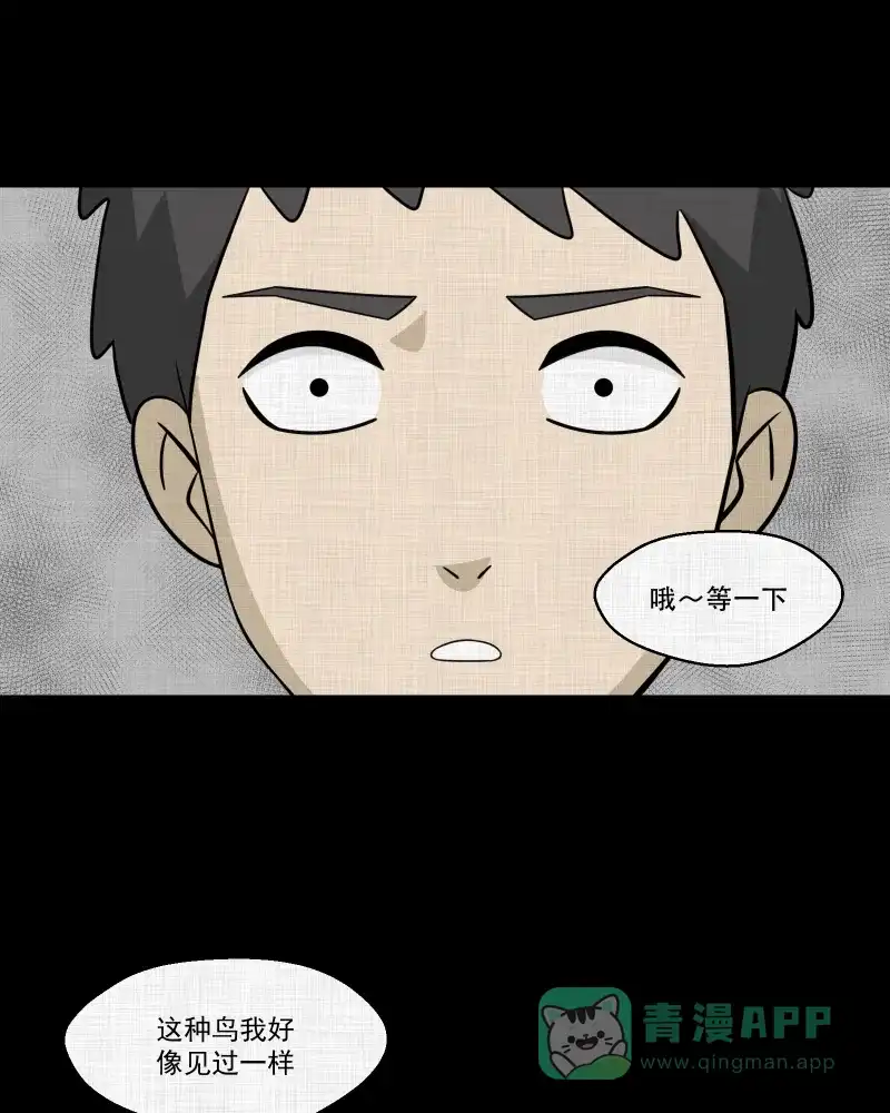 《宿运街18号》第144话 鸟（二） 第47页