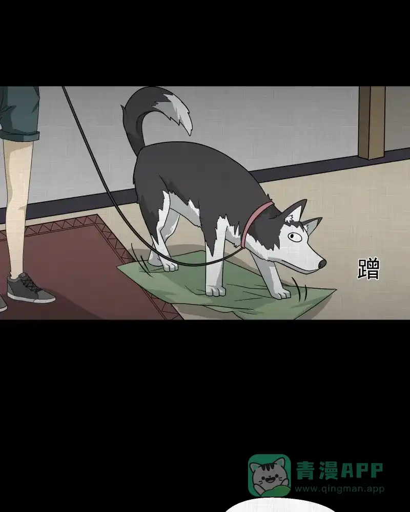 《宿运街18号》第147话 项圈（一） 第21页