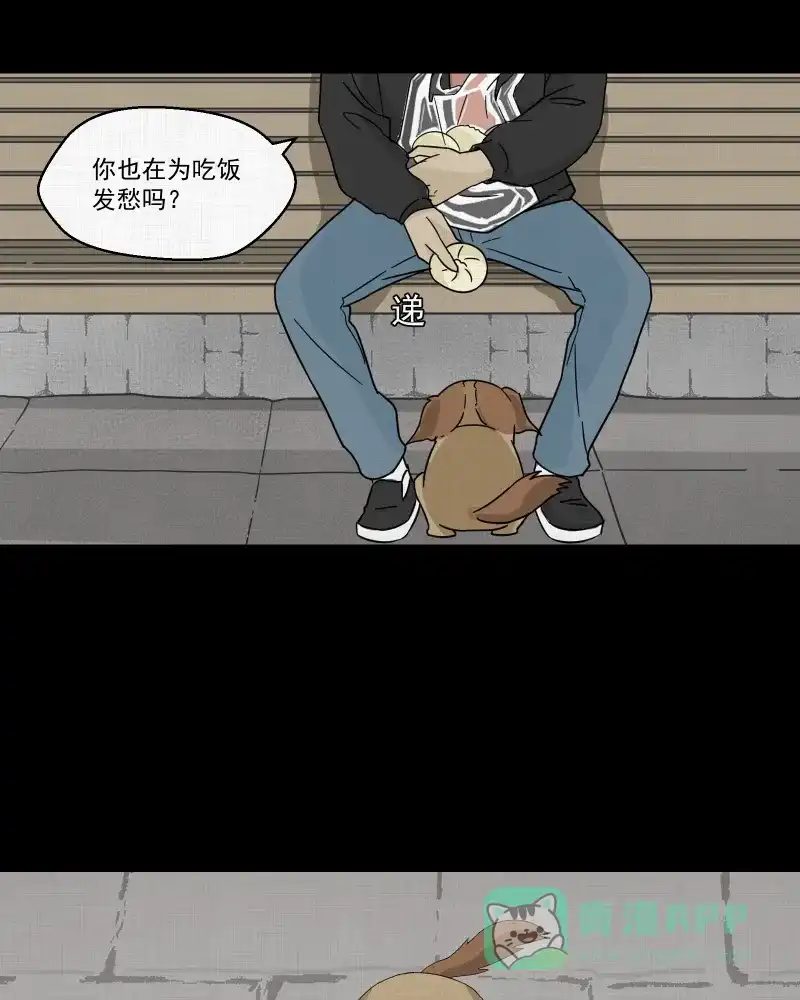 《宿运街18号》第34话 梦的直播间（二） 第13页