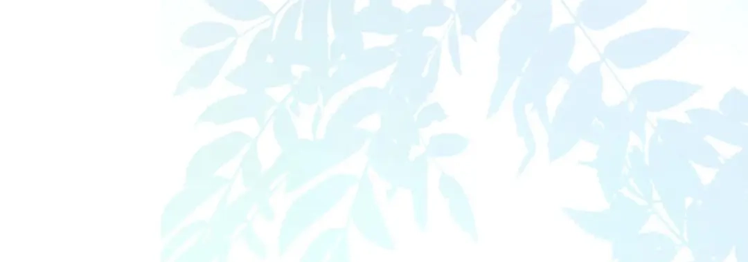 《太太又在撒娇了》第71话 不跟傻子说话 第27页
