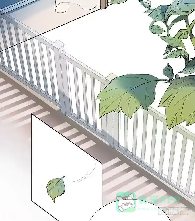 《唐门千金》暗手 第41页