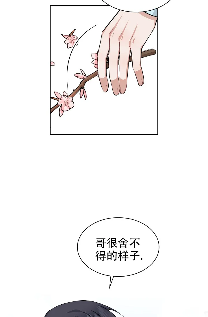 《桃爱盒》第36话 第5页