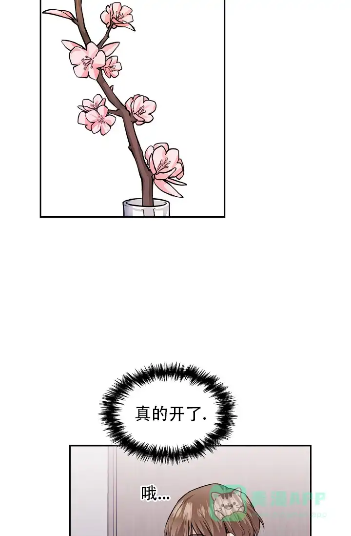 《桃爱盒》第36话 第11页