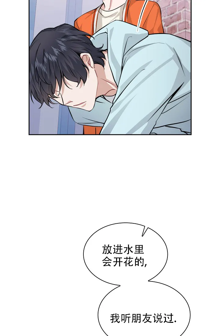 《桃爱盒》第36话 第4页
