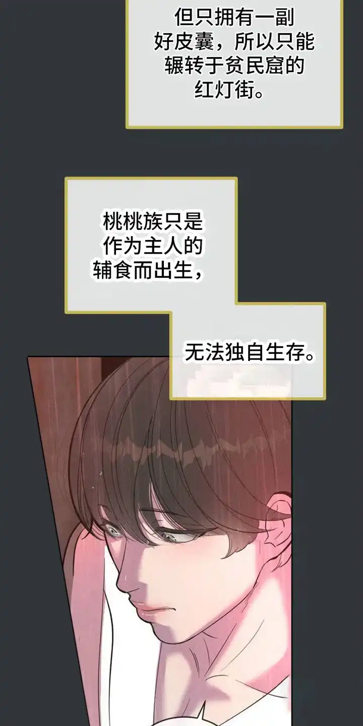 《桃子男孩》第4话 第22页