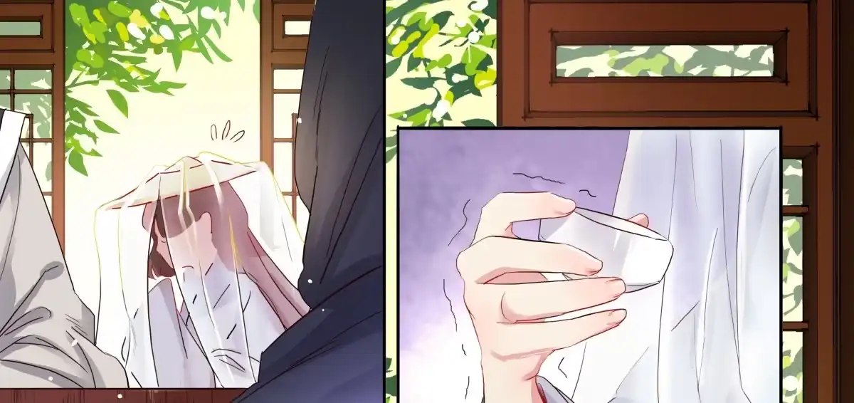 《天才宝贝的腹黑嫡娘》第11话 画像上的人 第5页