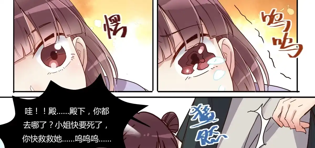 《天才宝贝的腹黑嫡娘》第13话 贴身侍女 第35页