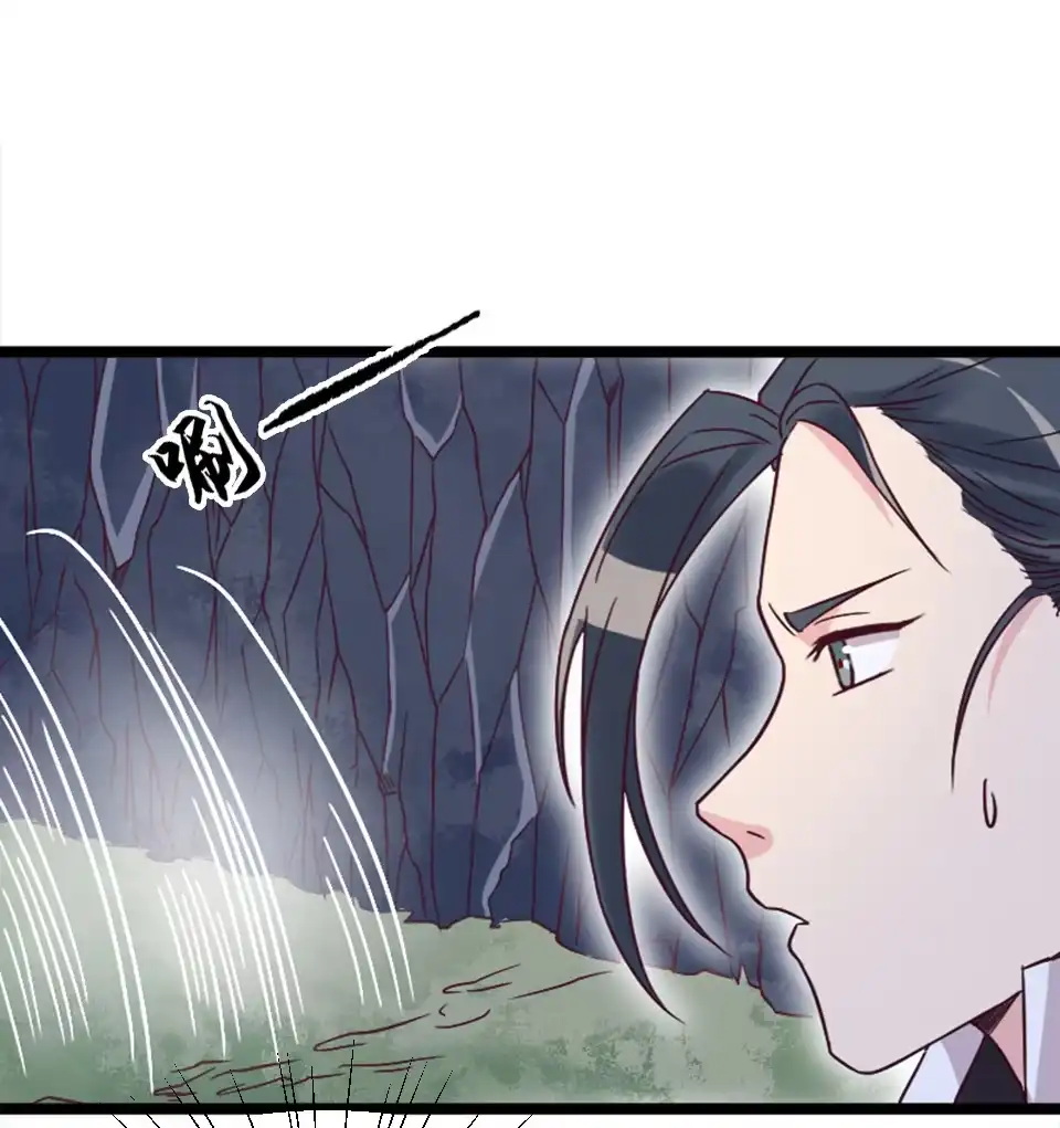 《天才宝贝的腹黑嫡娘》第84话 第30页