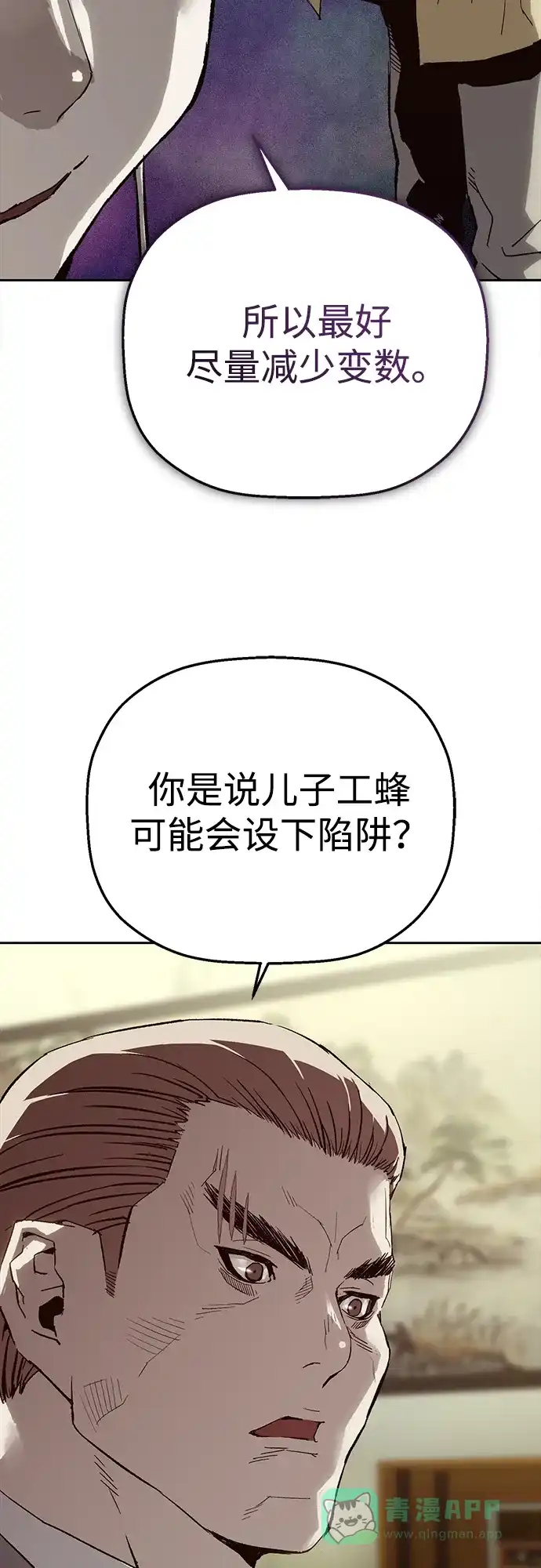 96.jpg