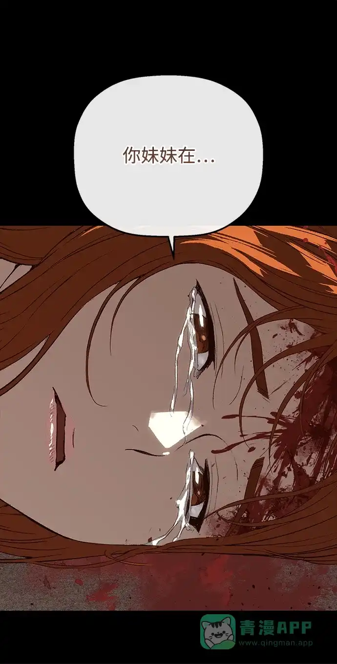 81.jpg