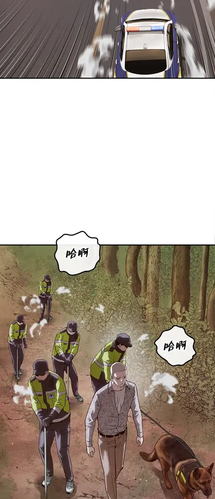 17.jpg