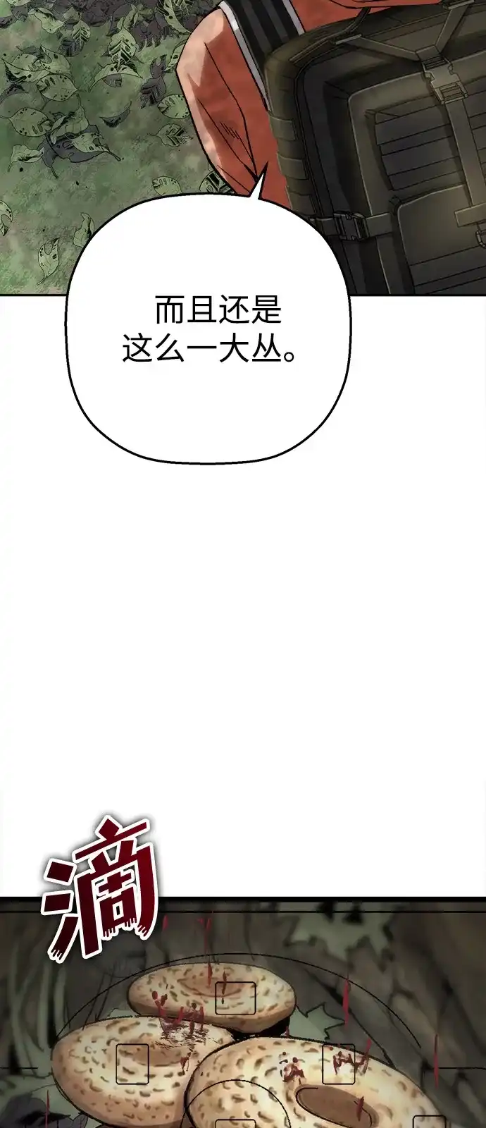 24.jpg