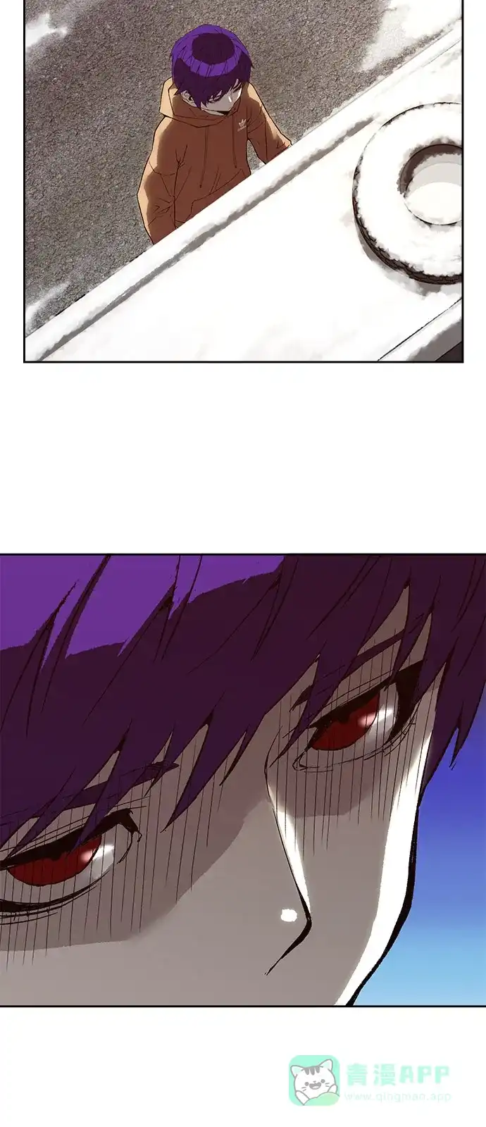 31.jpg