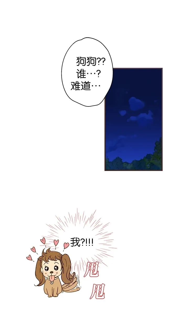 《甜蜜婚礼》第36话 第17页