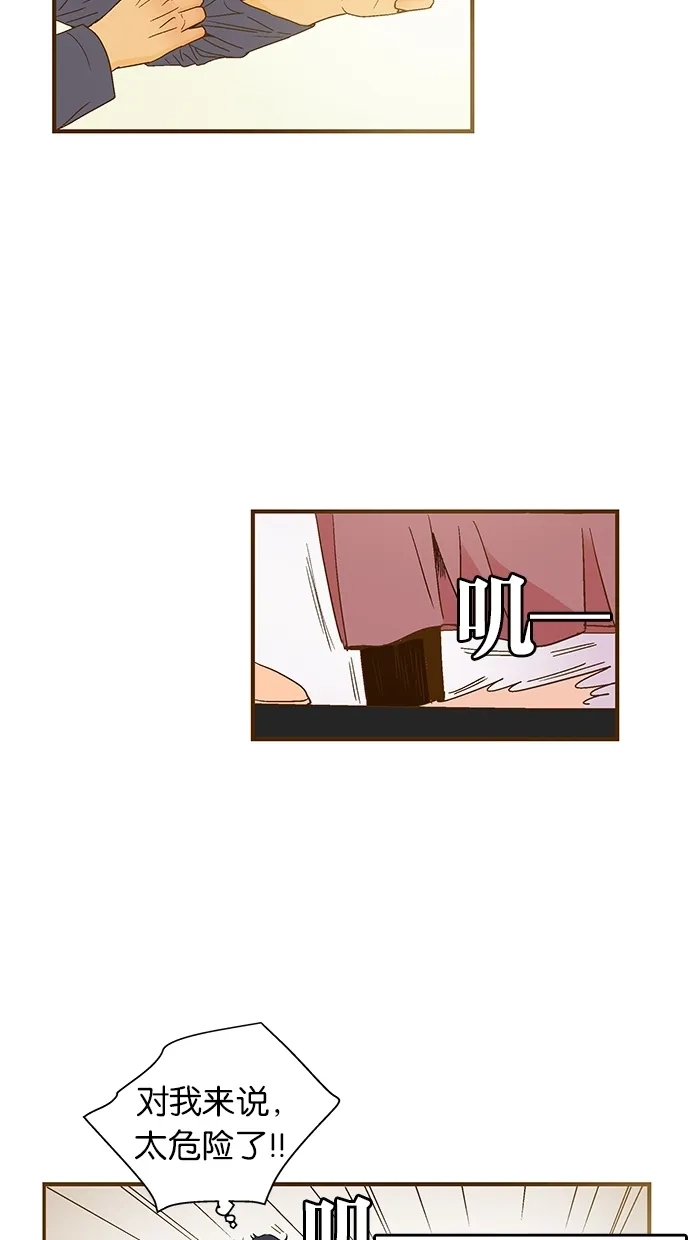 《甜蜜婚礼》第38话 第53页