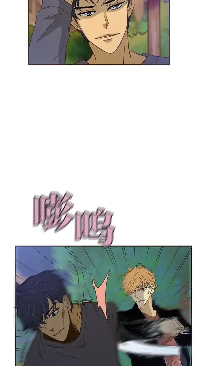 《甜蜜婚礼》第39话 第29页