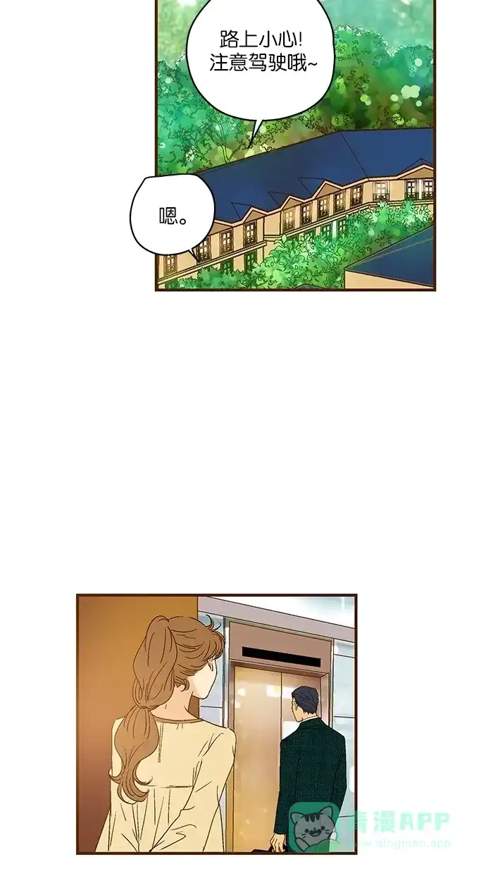 《甜蜜婚礼》第51话 第46页