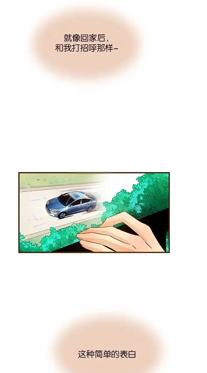 《甜蜜婚礼》第51话 第52页